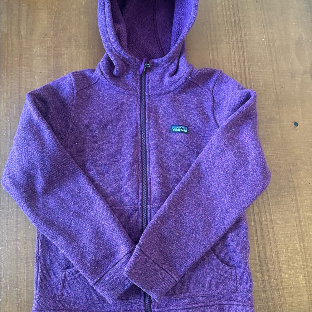 Patagonia Kids Fleece Zip-Up Hoodie in Purple